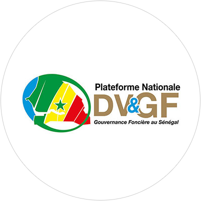 logo-DVGF