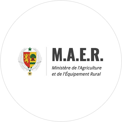 logo-MAER